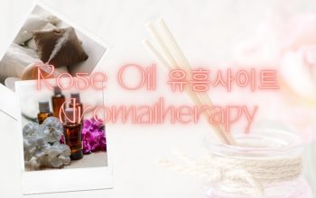 Rose Oil 유흥사이트 Aromatherapy