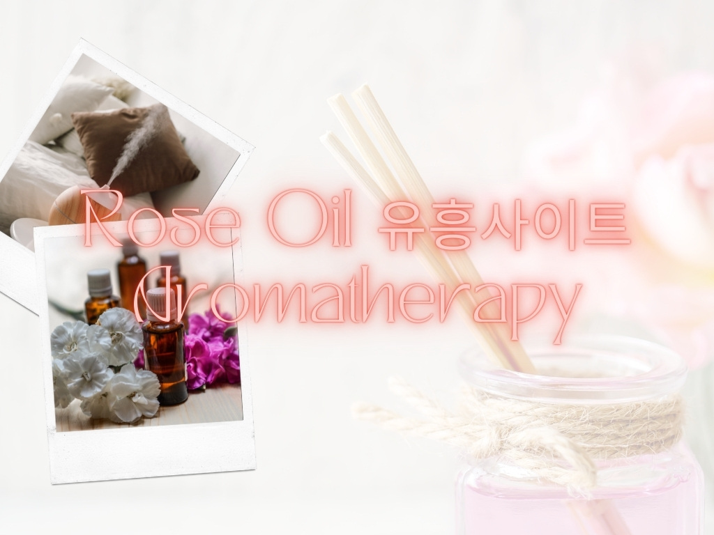 The Benefits of Using Rose Oil 유흥사이트 Aromatherapy